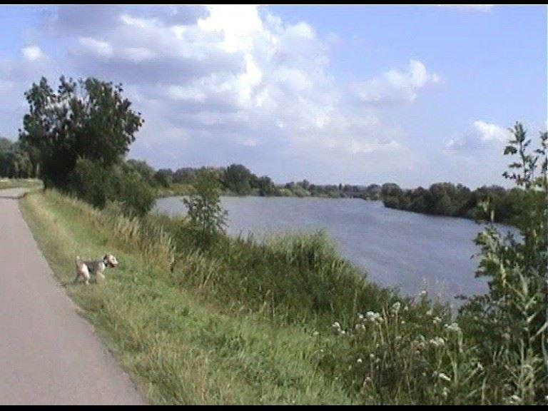 Tobi auf dem Veloweg