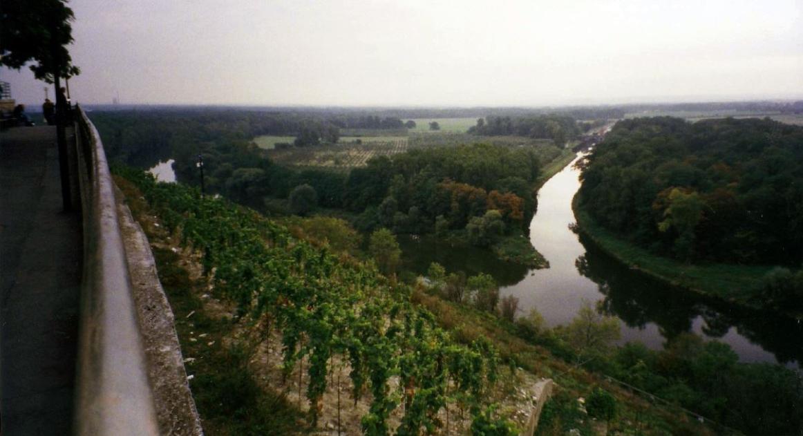 Vereinigung von Moldau & Elbe