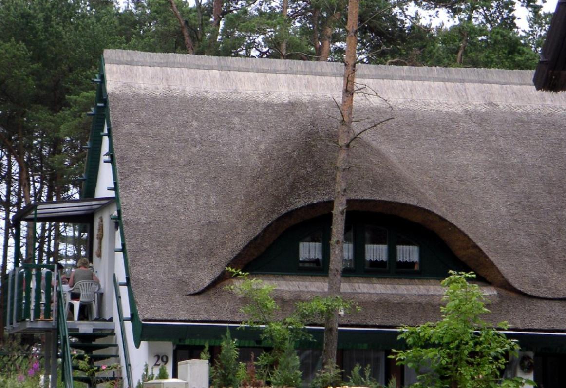 Detail eines schönen Reetdaches