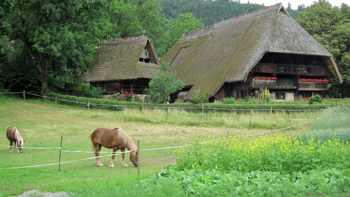 Beim Freilichtmuseum Vogtsbauernhof bei Gutach