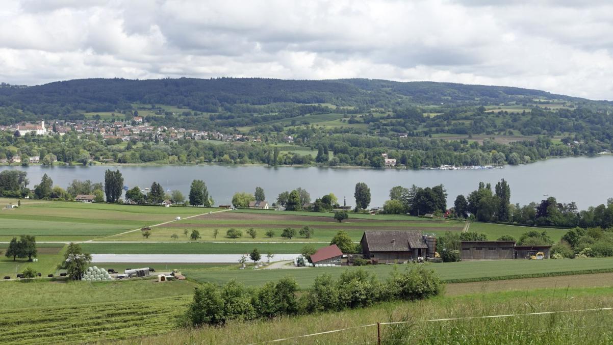 Blick auf Gaienhofen (links) und Untersee