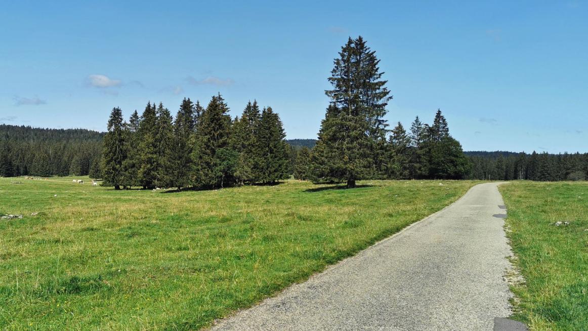 die Seele baumeln lassen - im Jura möglich!