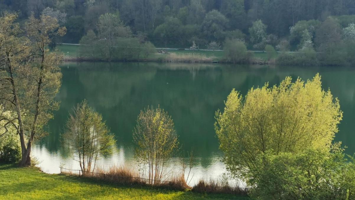 Steisslinger See