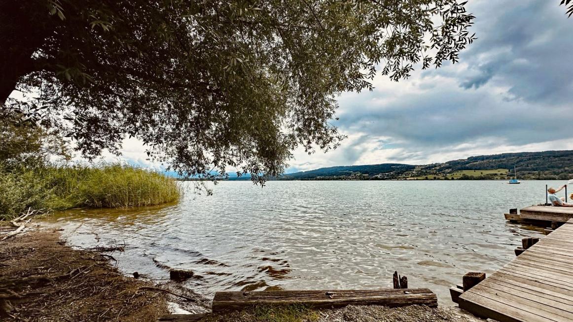 am Greifensee