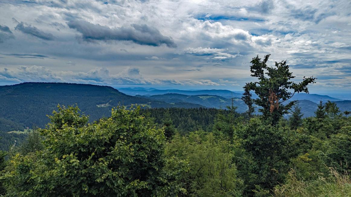 auf den Höhen des Schwarzwaldes (nähe B 500)